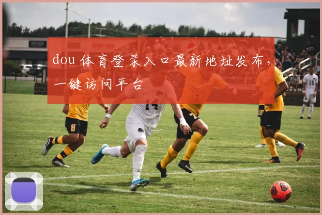 dou 体育登录入口最新地址发布,一键访问平台
