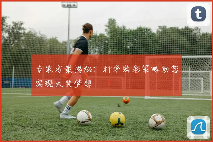 专家方案揭秘：科学购彩策略助您实现大奖梦想