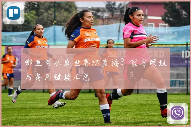 哪里可以看世界杯直播?官方网址与备用链接汇总