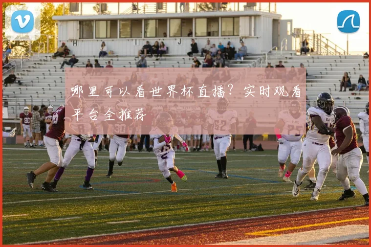 哪里可以看世界杯直播?实时观看平台全推荐