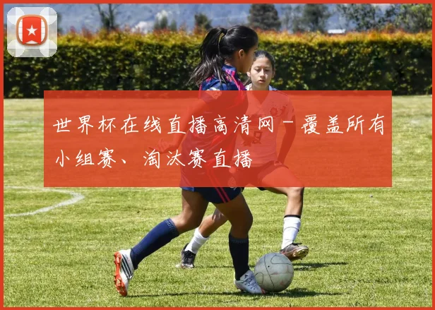 世界杯在线直播高清网 - 覆盖所有小组赛、淘汰赛直播
